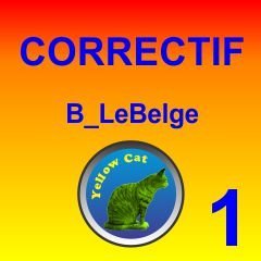 Screenshot for YellowCat_B_LeBelge-Correctif1.rwp