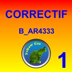 Screenshot for YellowCat_B_AR4333-CORRECTIF 1