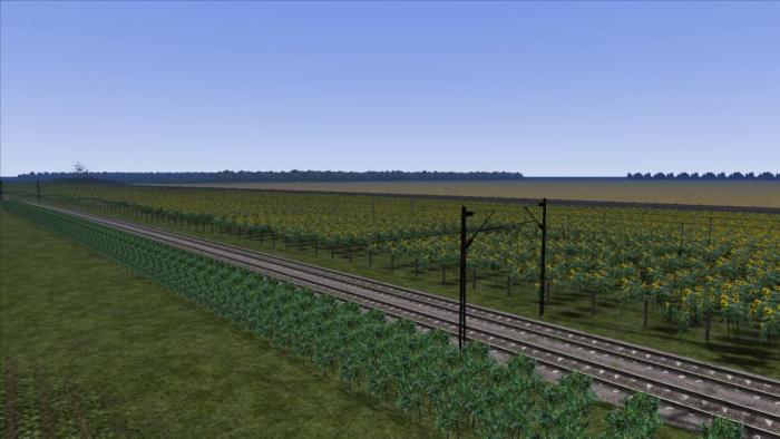 post-2526-0-62197600-1329083983_thumb.jpg