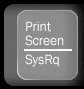 Print-Screen.gif