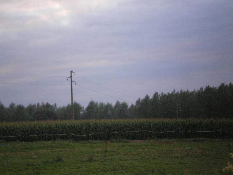 IMGP1289.JPG