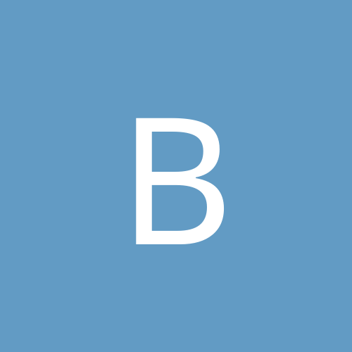 Bibus