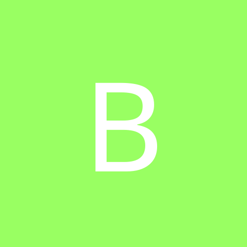 Bolgarr