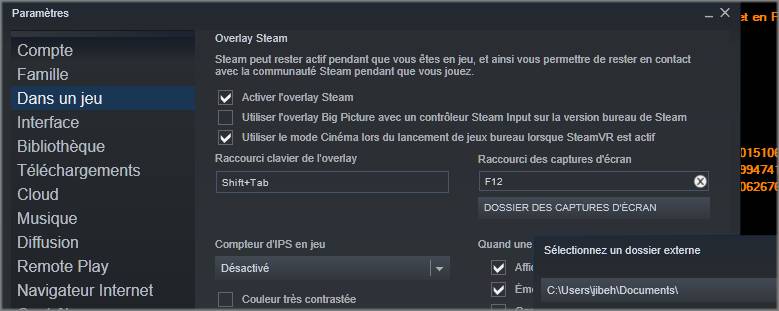 capture image Steam.jpg