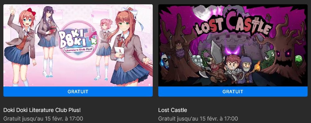 Doki Doki Literature Club Plus !   & Lost Castle.jpg