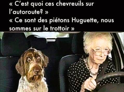 01.jpg.a67fb35e58a9376b47f27a6a53c16e18.jpg