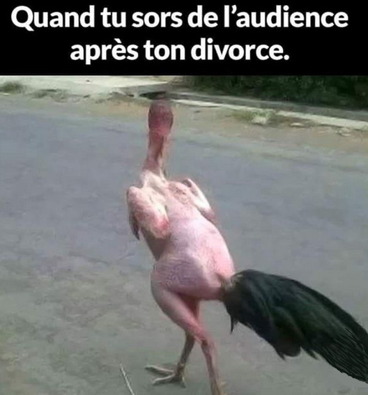1.jpeg.92c1c3d5ad89c9d8bccce259c3620ae2.jpeg