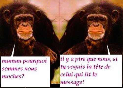 03.jpg.3d5a7c7ebd8667dc1138a249083ab4b3.jpg
