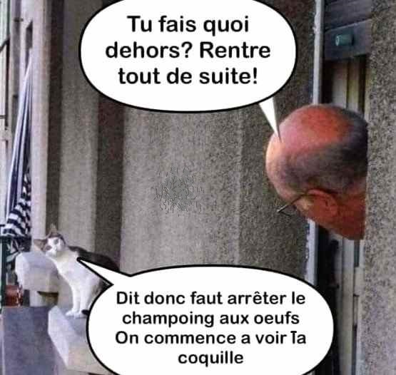 c.jpg.fb47eae125e497e708a1f7f5baecfacb.jpg