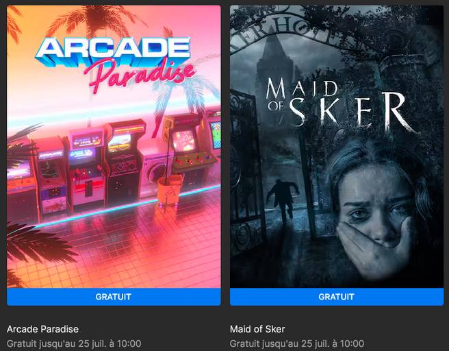 Arcade Paradise & Maid of Sker.jpg