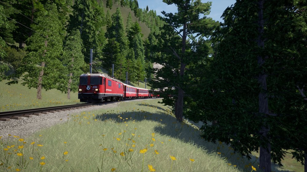 tsw4-240721-2.jpeg