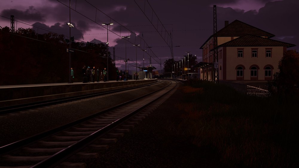 tsw5-241121-2.jpeg