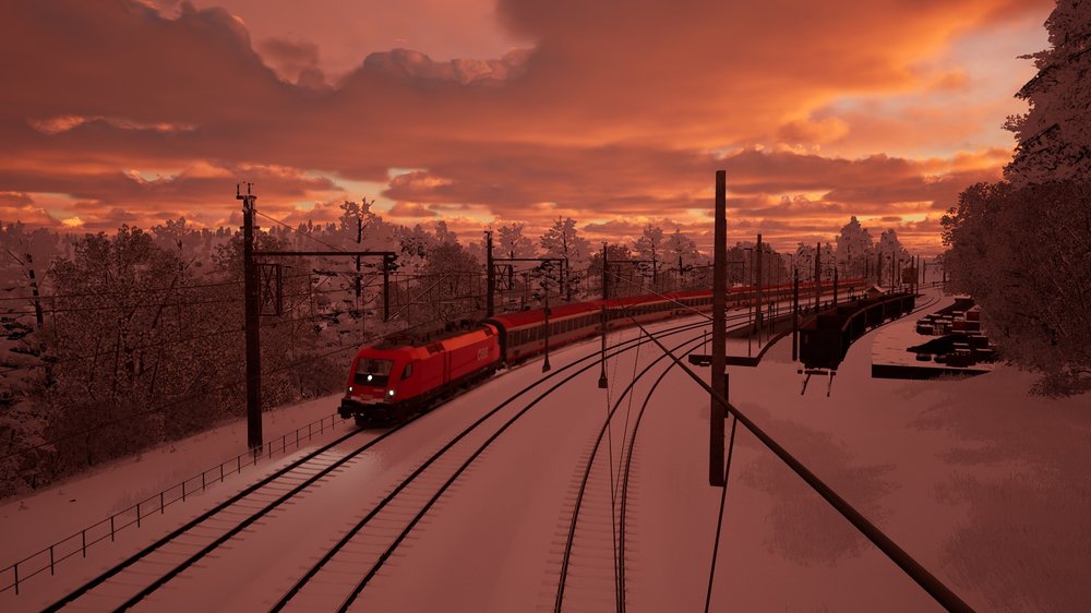 tsw5-241212-1.jpeg