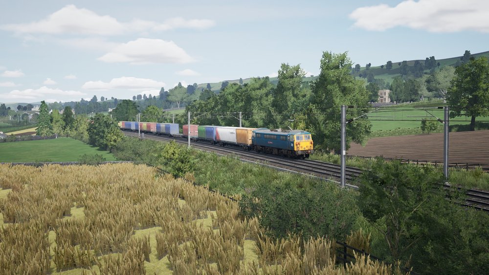 tsw5-241213-2.jpeg