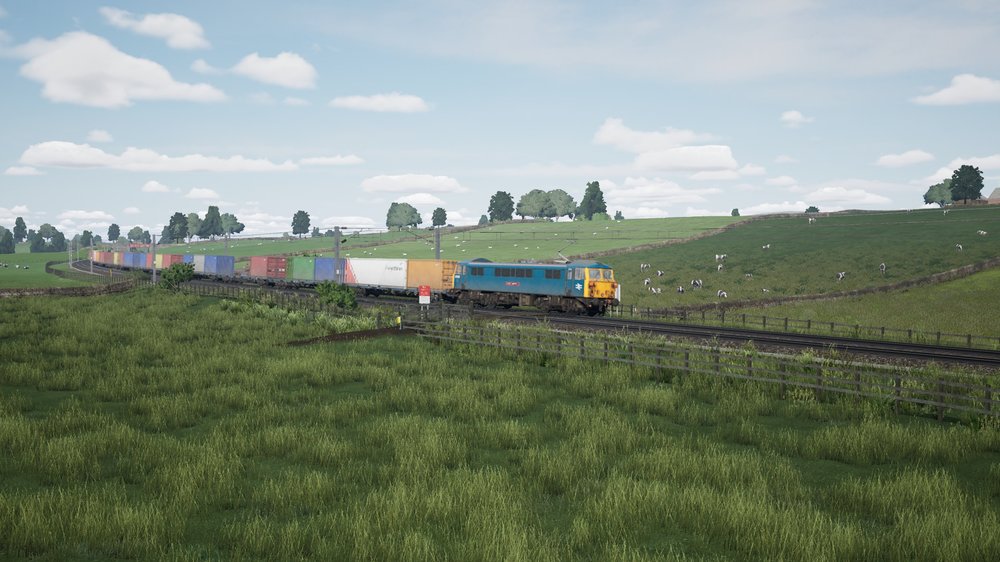 tsw5-241213-3.jpeg