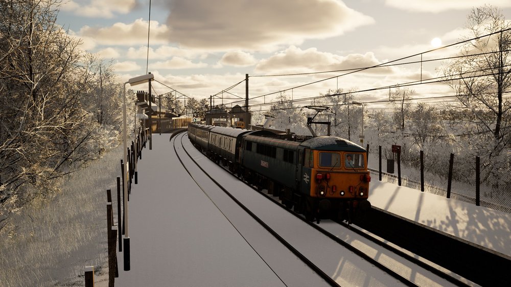 tsw5-250131-1.jpeg