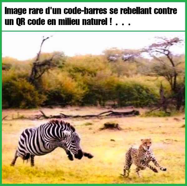 1.jpg.6b379177fb0e1b622fd78479a5c73fdb.jpg