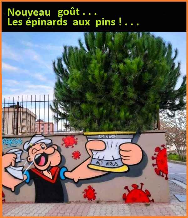 1.jpg.3deeee507b106bd494a8617244a66cdb.jpg