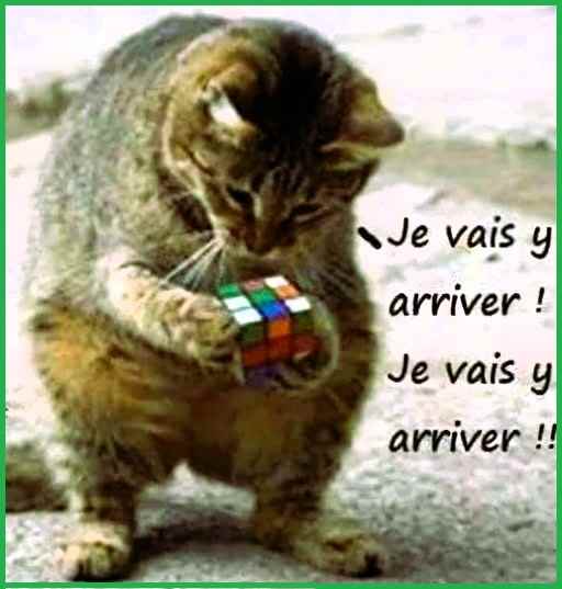 1.jpg.bc937b2847bf6d88d80c6a8c12a8aaff.jpg
