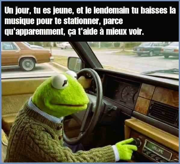 1.jpg.2a93a4fb98f630aaad91365369c7e35f.jpg