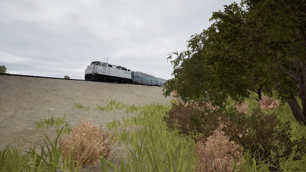 tsw6-260828-2.jpg