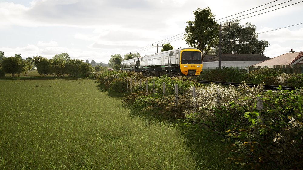tsw6-260829-1.jpg