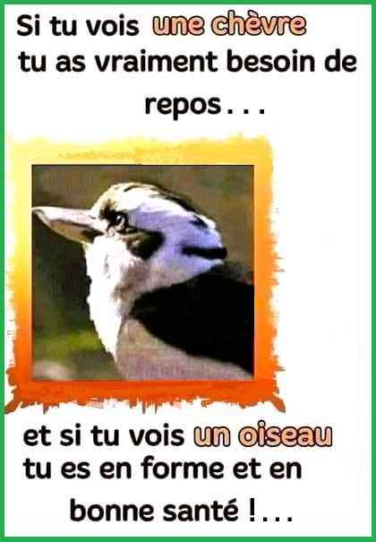 A.jpg.f2c4bd68e802e87f5eba1406e4e94d18.jpg