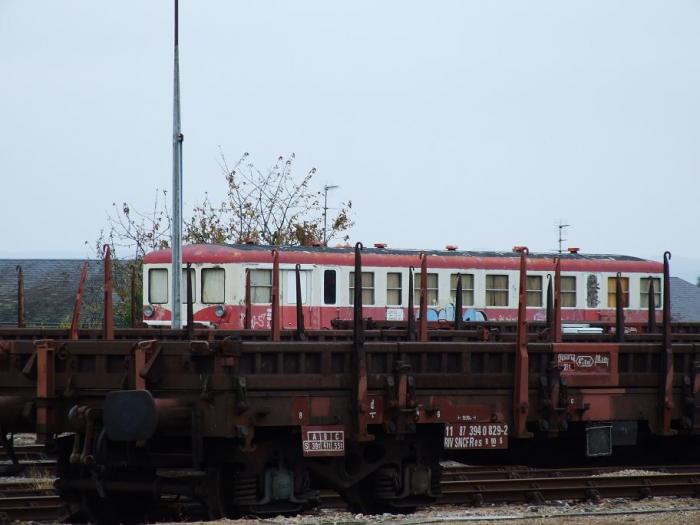 DSCF7174.jpg